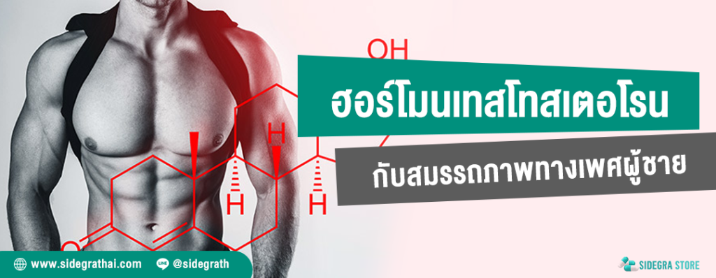 ฮอร์โมนเทสโทสเตอโรน กับสมรรถภาพทางเพศของผู้ชาย - ปกบทความ sidegrathai