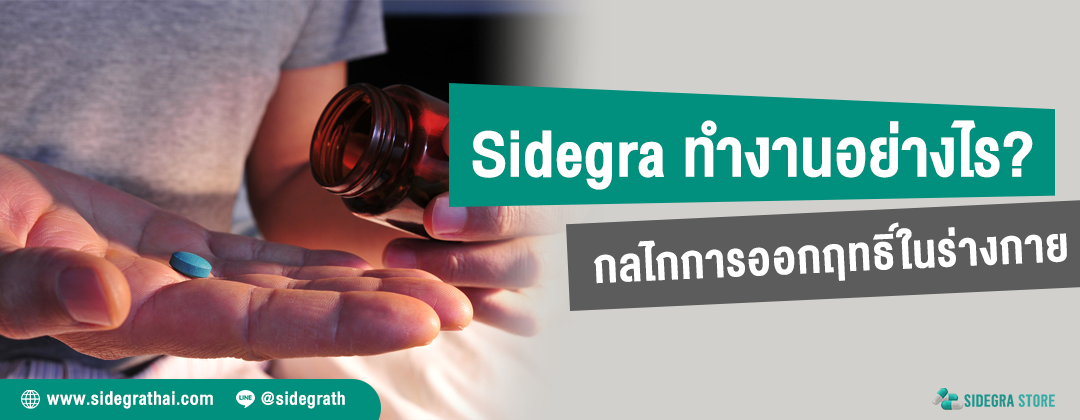 Sidegra ทำงานอย่างไร กลไกการออกฤทธิ์ของยาในร่างกาย