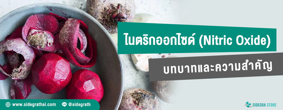 สารไนตริกออกไซด์ (Nitric Oxide) ในอวัยวะเพศ บทบาทและความสำคัญ - ปก