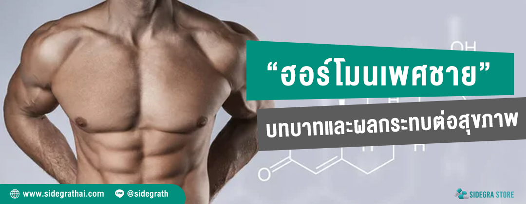 ฮอร์โมนเพศชาย บทบาทและผลกระทบต่อสุขภาพ
