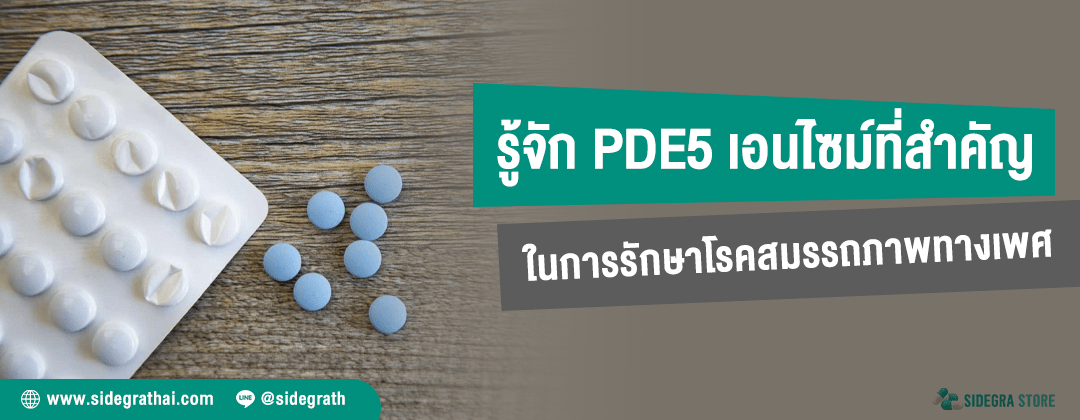 PDE5 เอนไซม์สำคัญและบทบาทในการรักษาโรคหย่อนสมรรถภาพทางเพศ